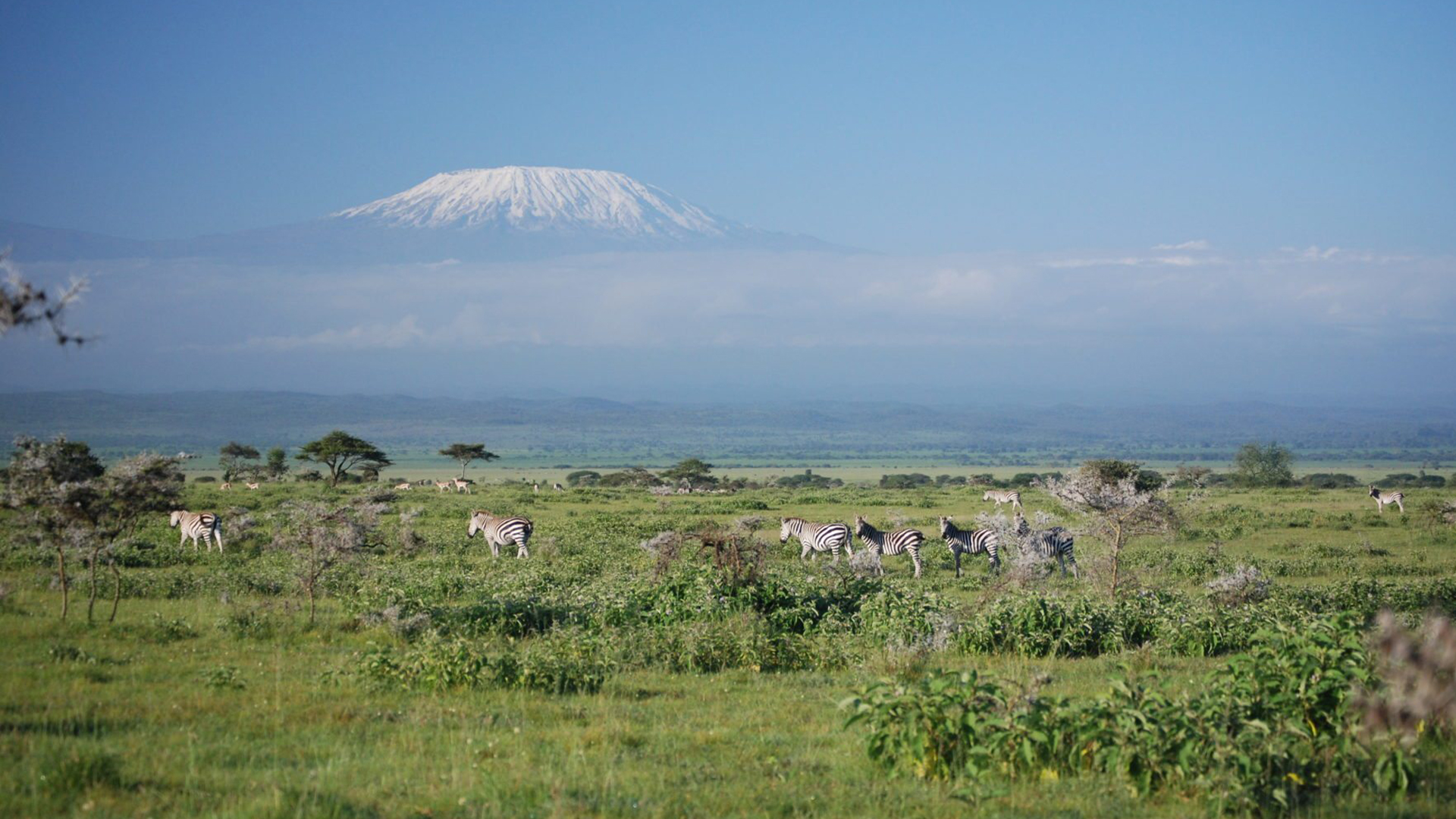 Amboseli National Park 1