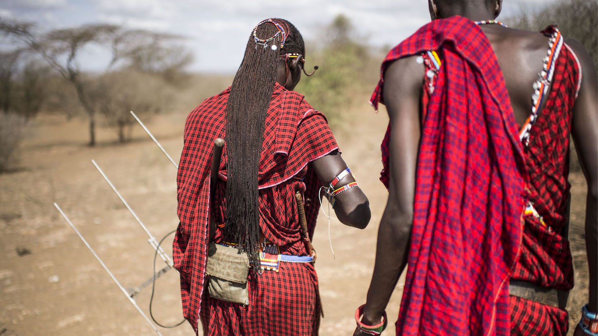 Amboseli National Park 2
