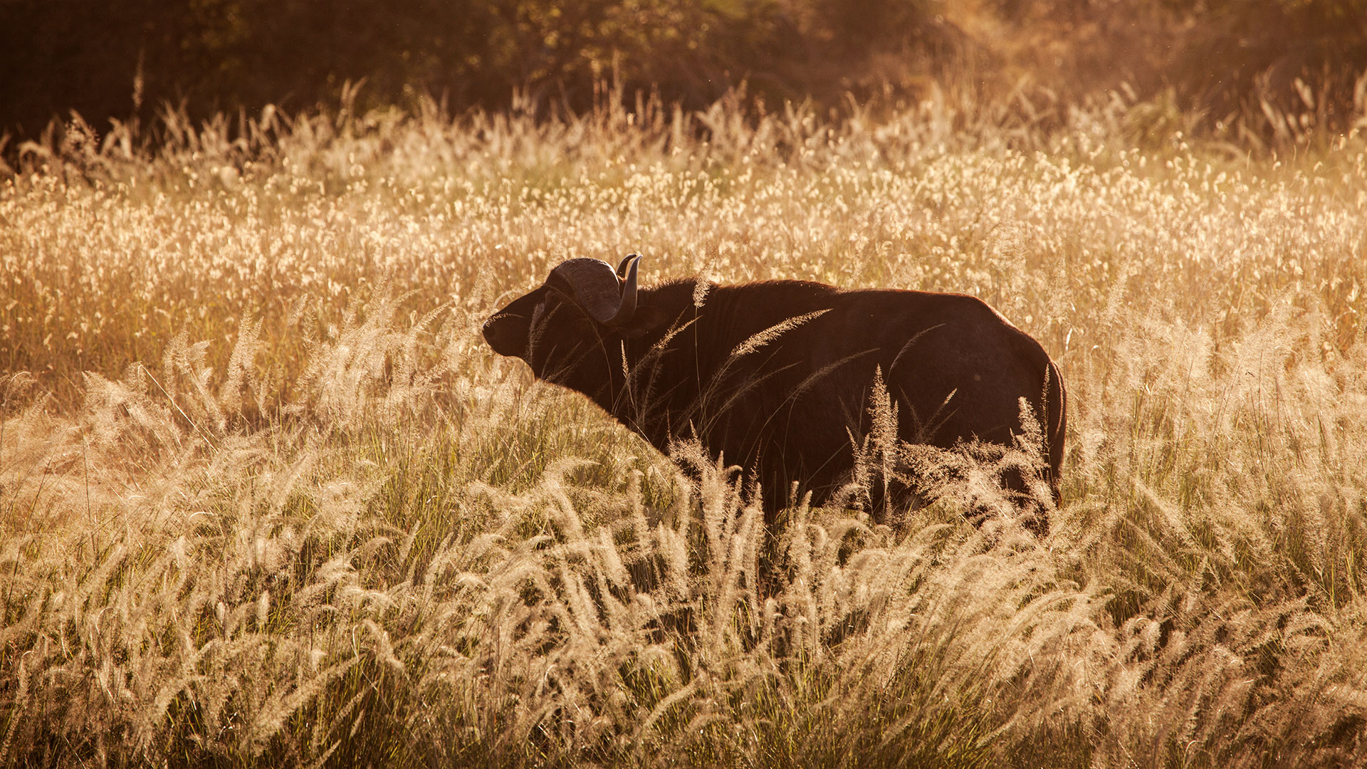 Meru National Park 1