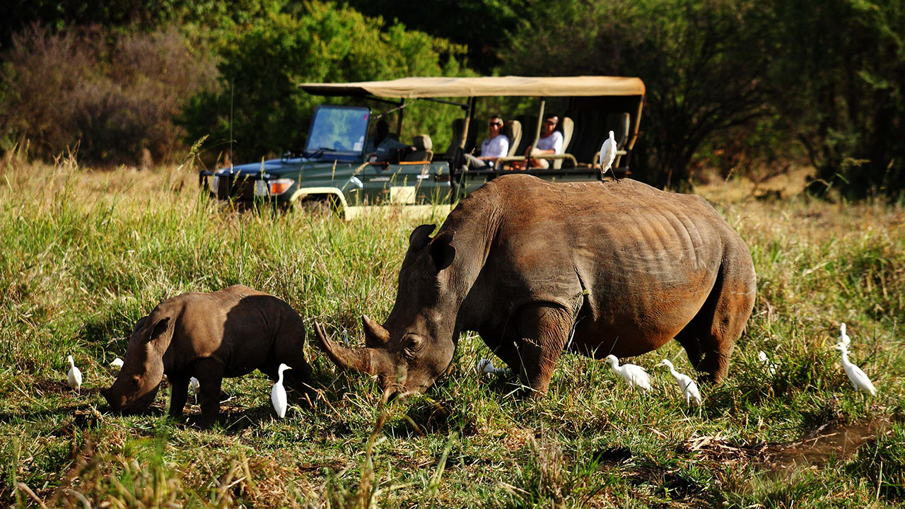 Meru National Park 4