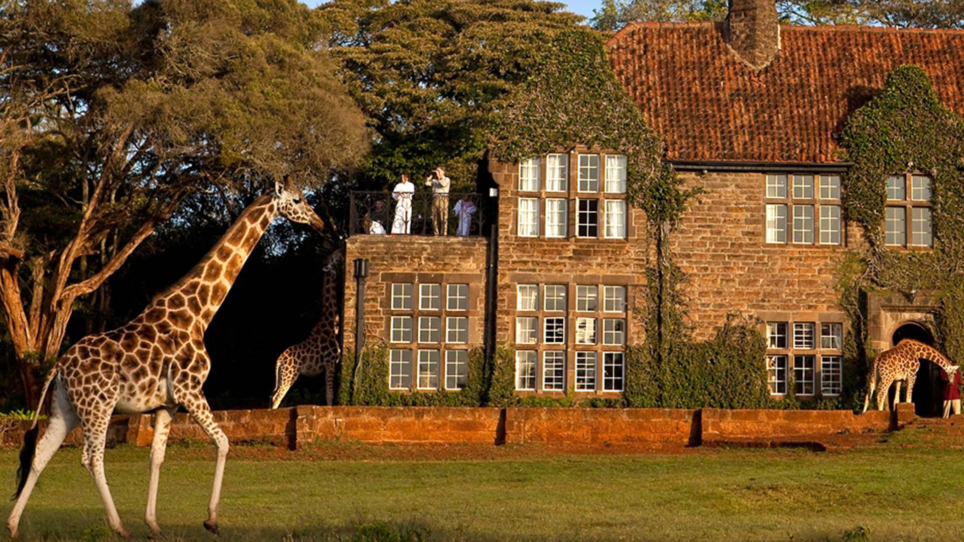 Giraffe Manor
