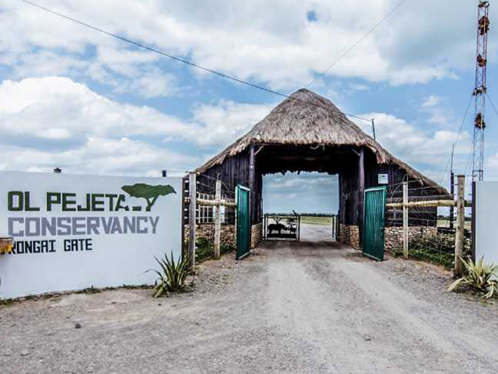 Ol Pejeta Conservancy 1