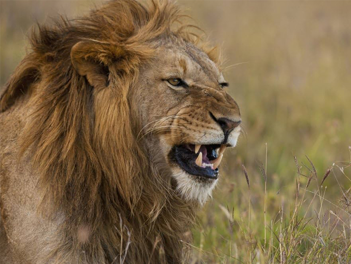Ol Pejeta Conservancy 2