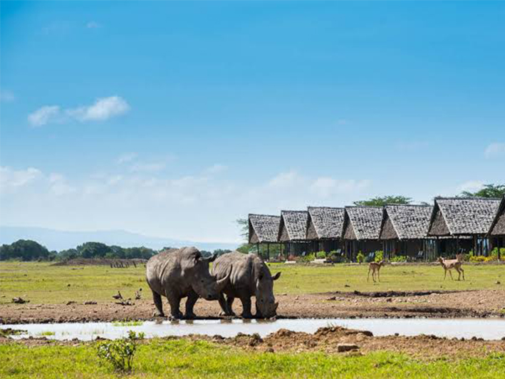 Ol Pejeta Conservancy 3