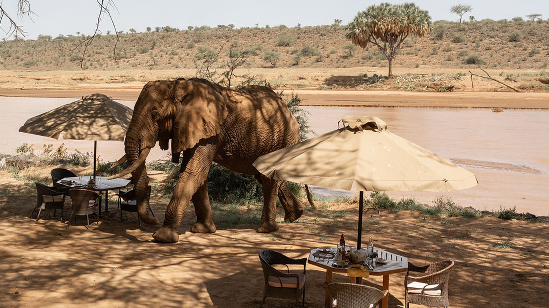 Samburu National Park 2
