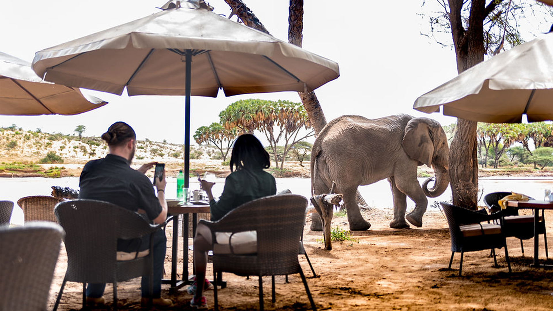 Samburu National Park 3