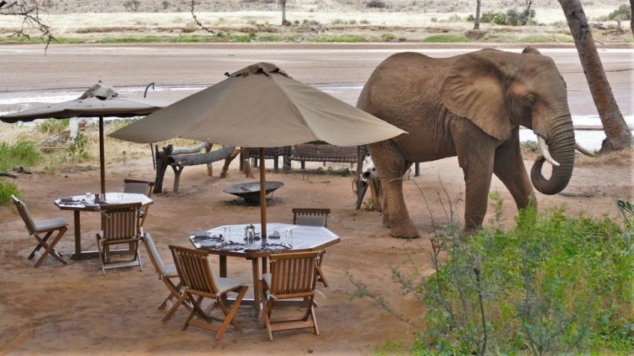 Elephant Bedroom Samburu