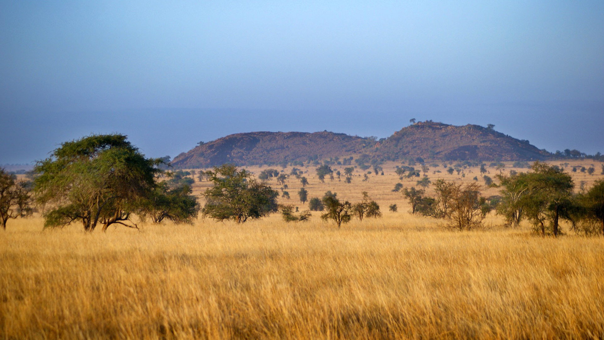Tsavo National Park 4