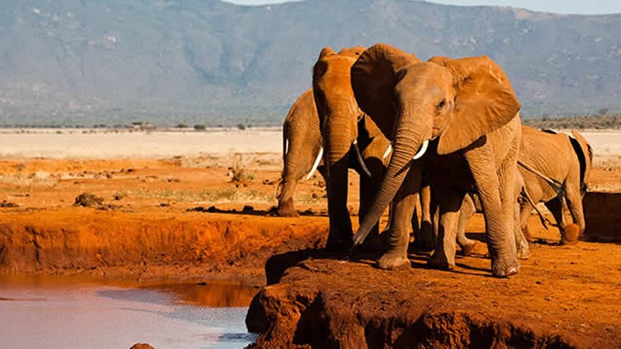 Tsavo National Park