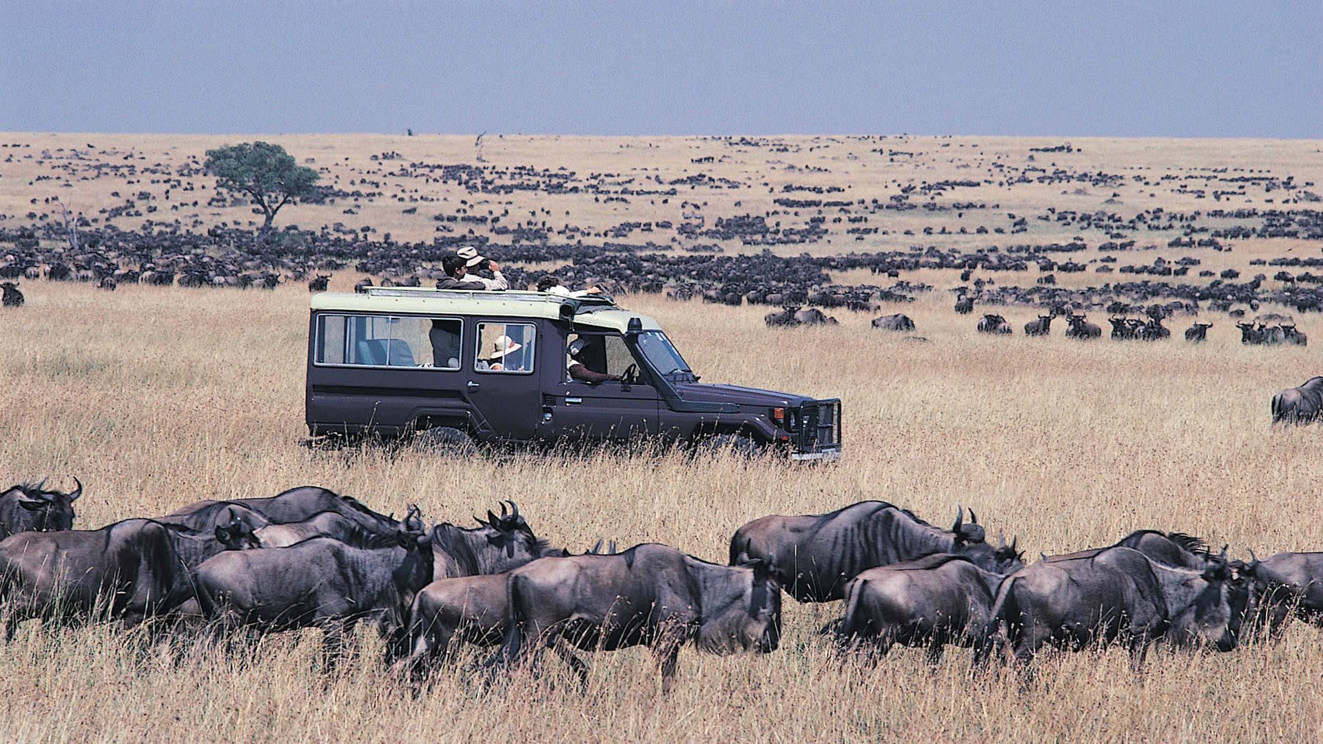 The Maasai Mara National Reserve