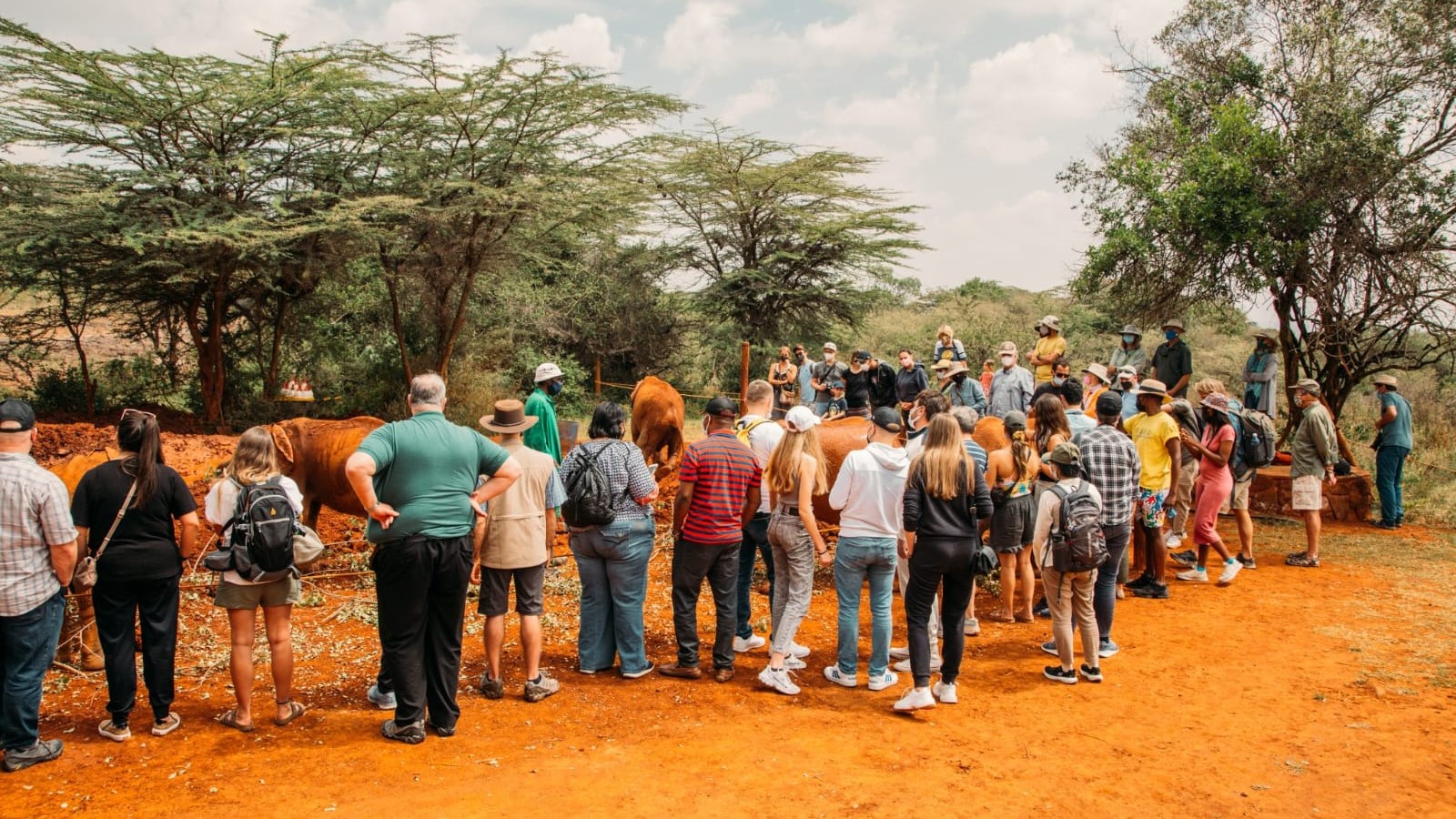 Nairobi Giraffe Center