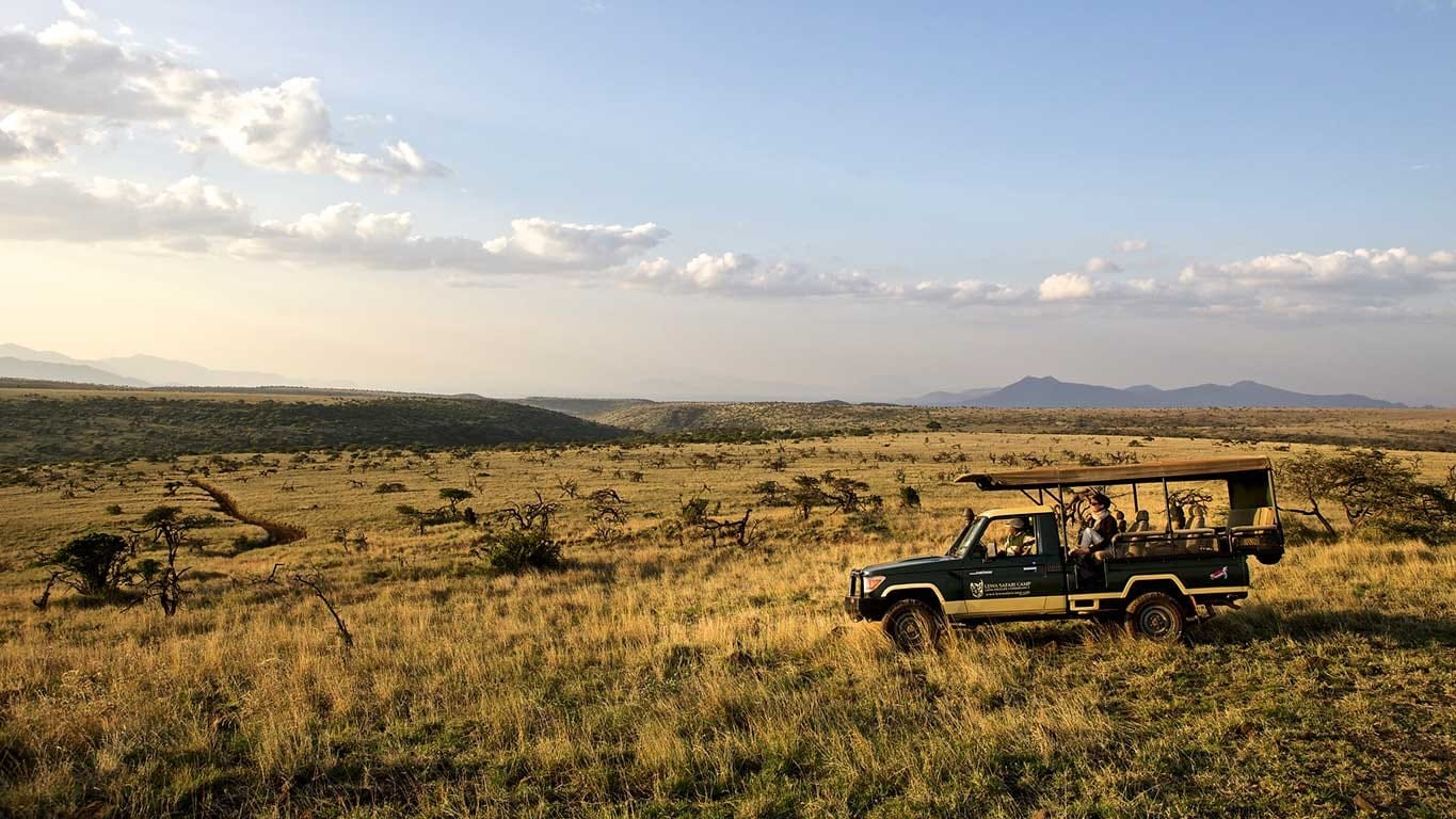 Lewa Game Viewing