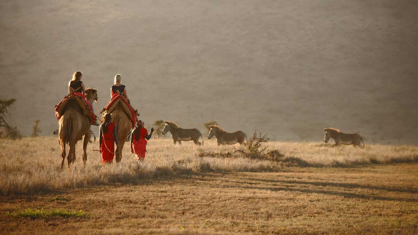 Lewa Activities