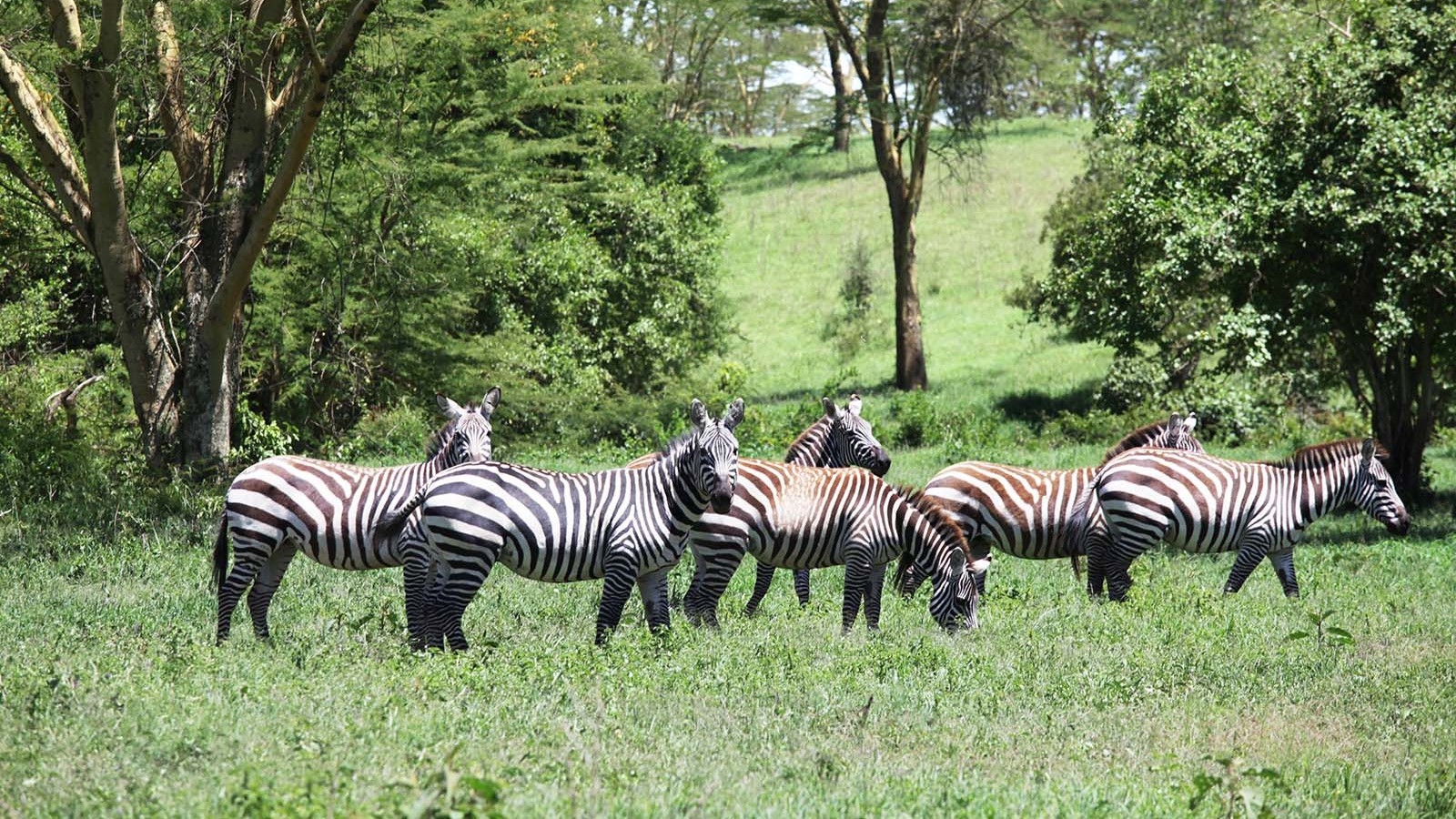 Malindi Excursion