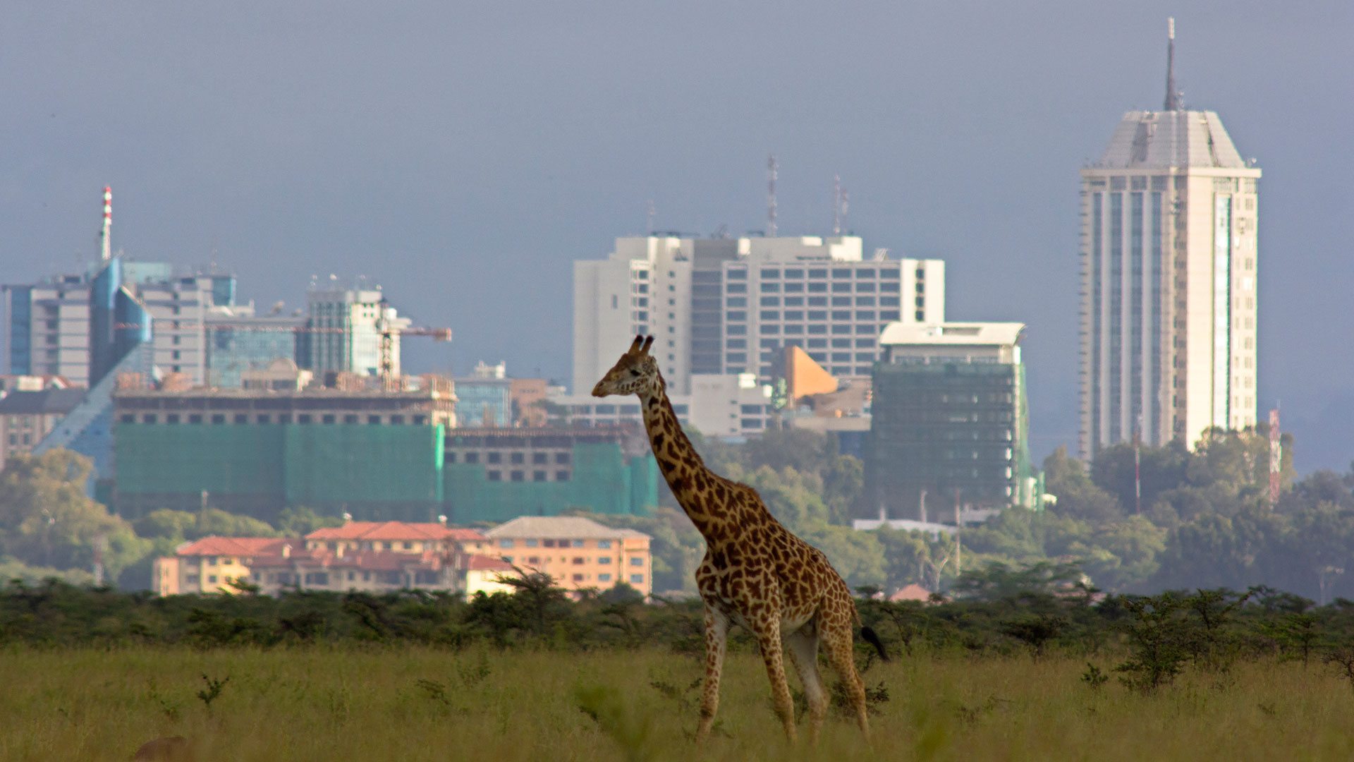 Nairobi Arrival