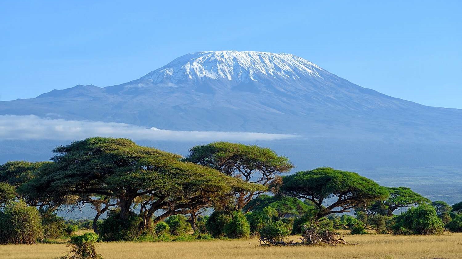 Amboseli National Park