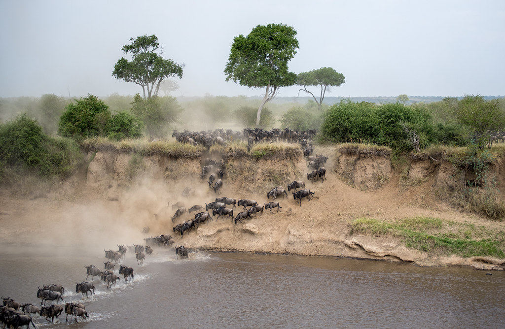 Kenya & Tanzania Great Migration Holiday