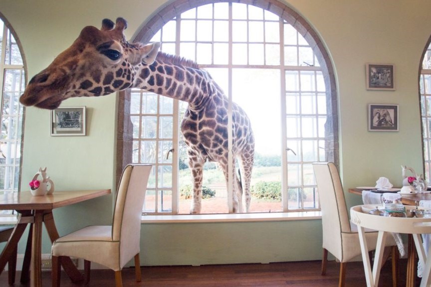 Giraffe Manor Nairobi