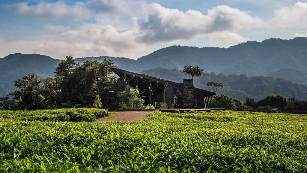 One & Only Nyungwe House