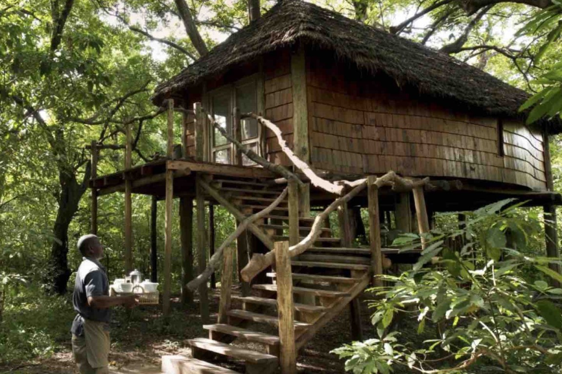 Lake Manyara Tree Lodge