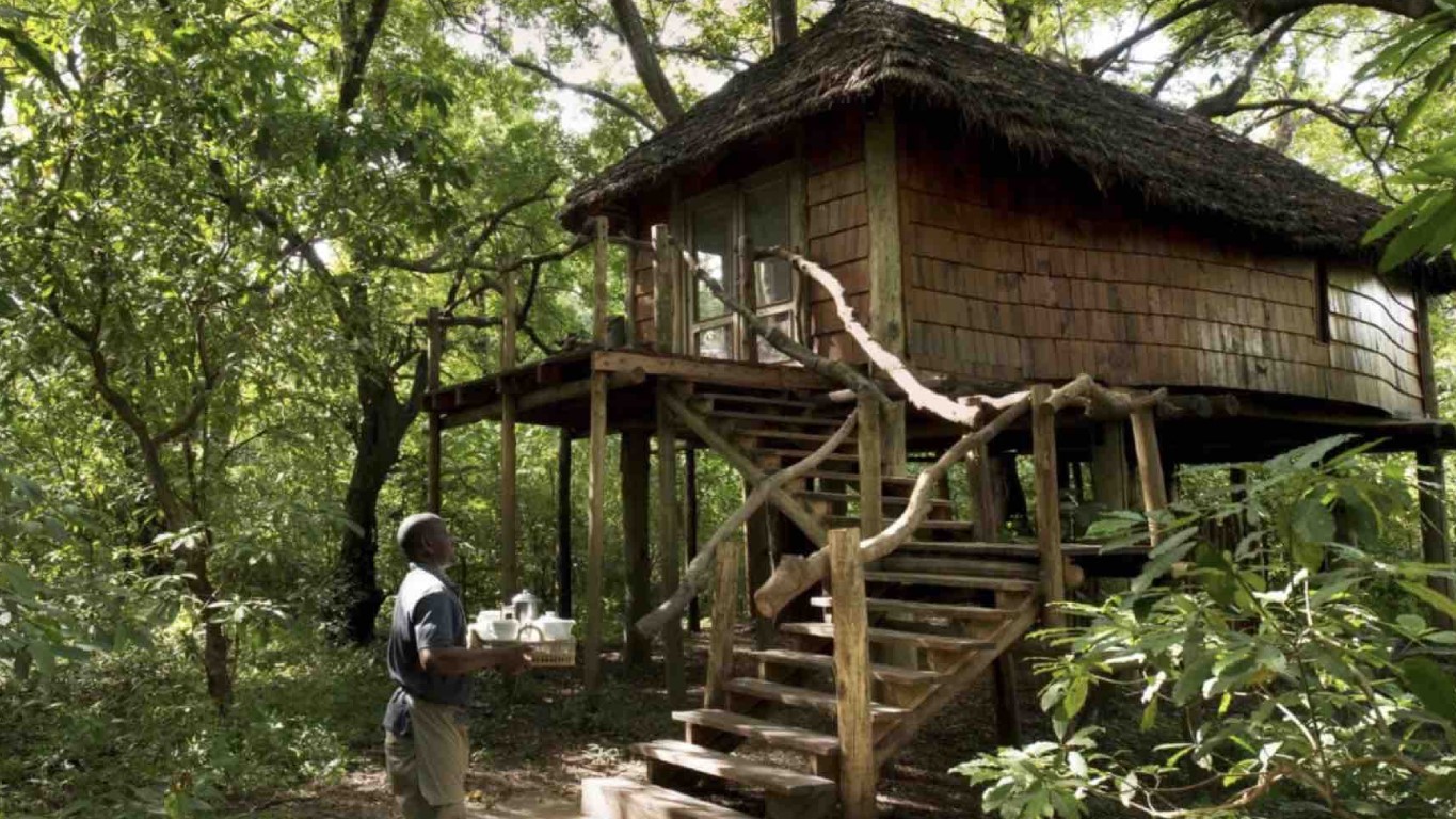 Lake Manyara Tree Lodge