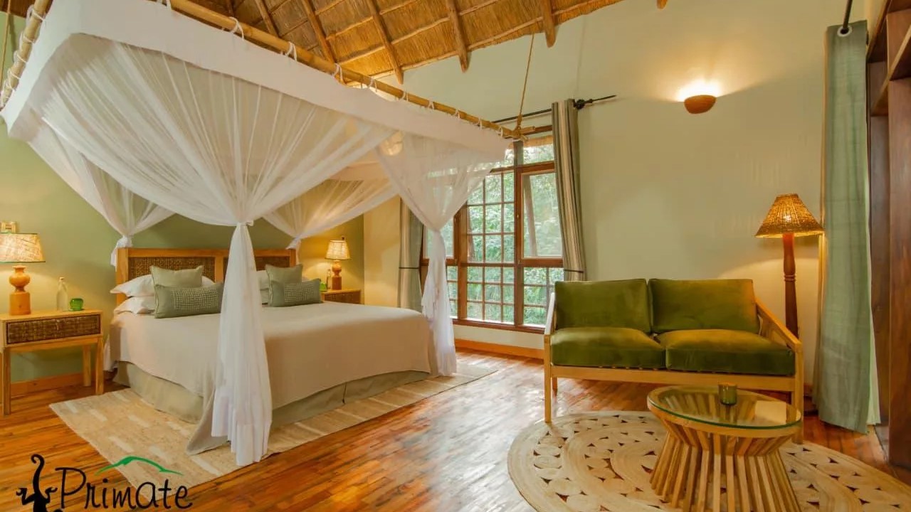 Primate Lodge