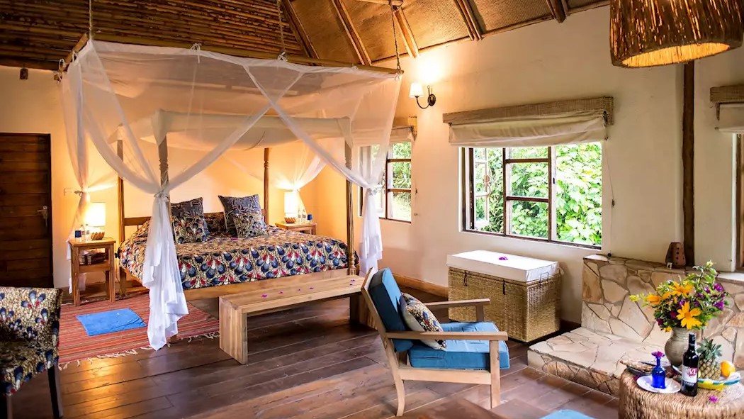 Volcanoes, Bwindi Lodge