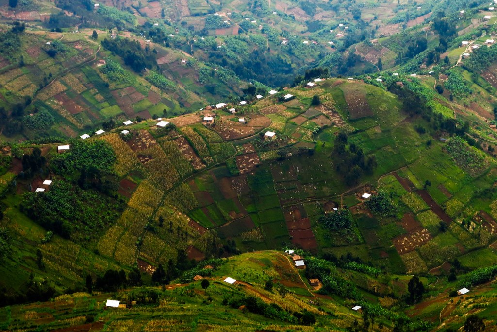 Treasures of a Thousand Hills