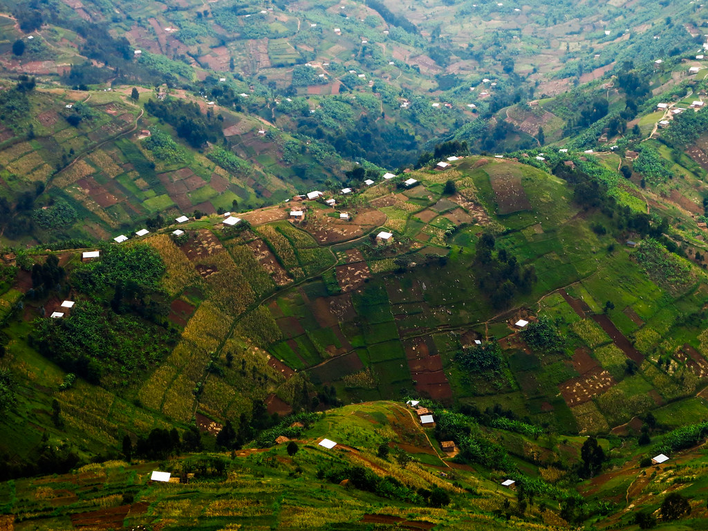 Treasures of a Thousand Hills Safari