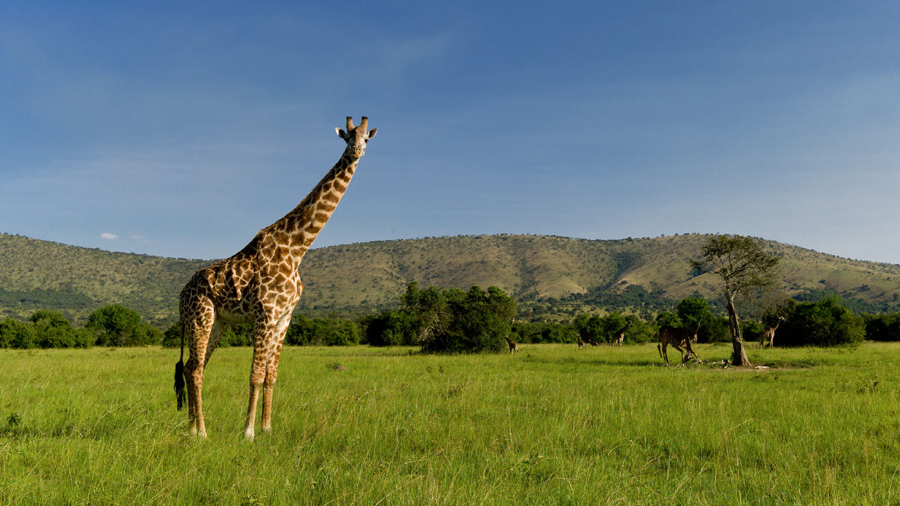 Akagera National Park 4