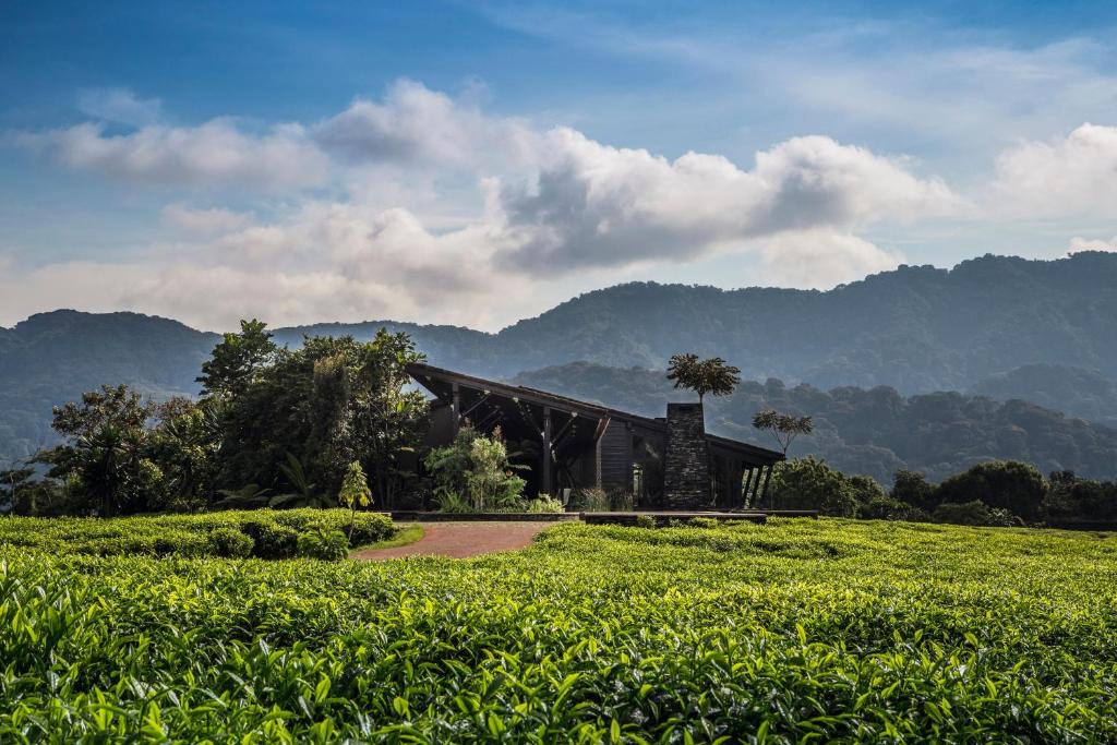 One&Only Nyungwe House