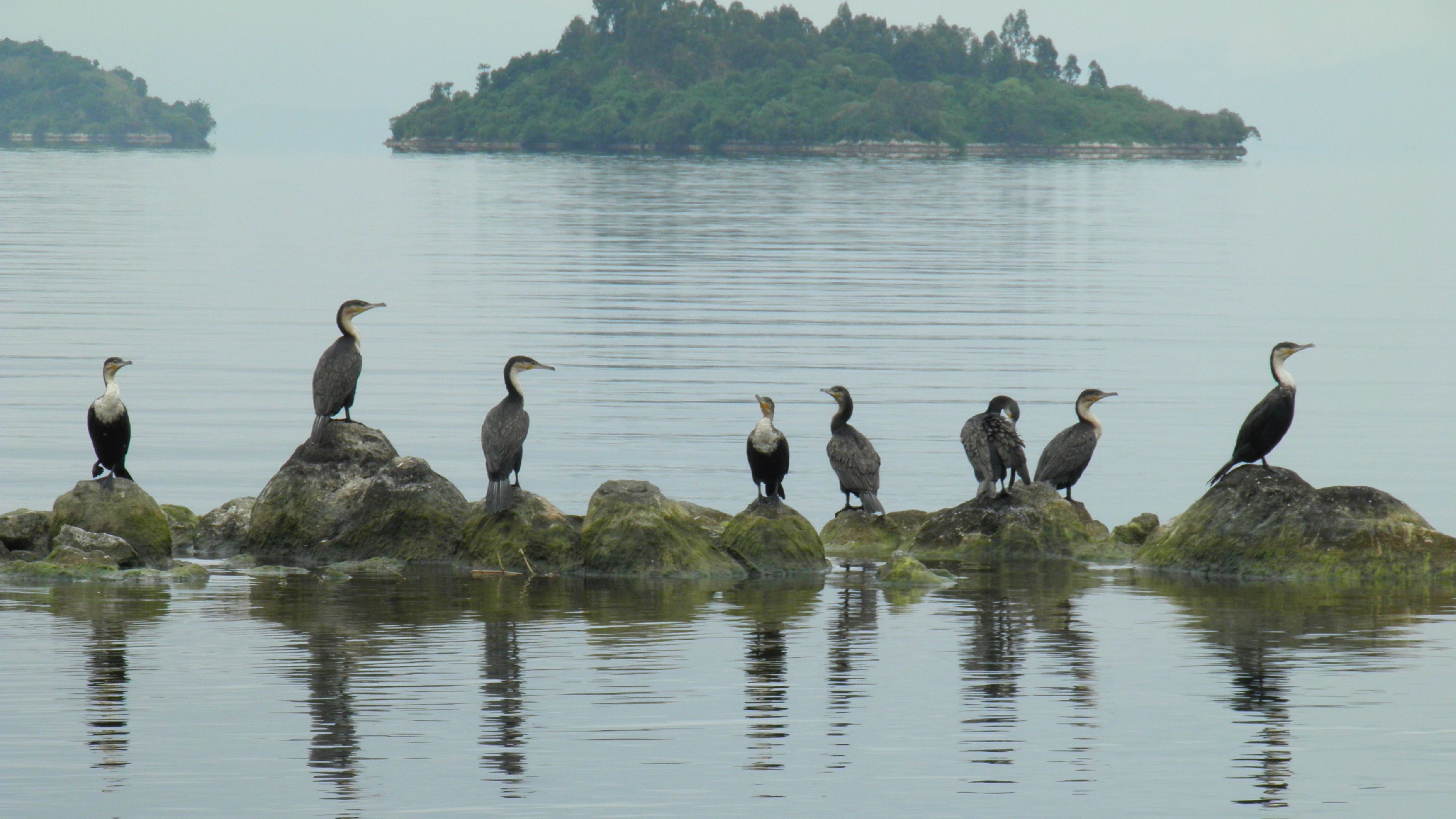 Lake Kivu Activities