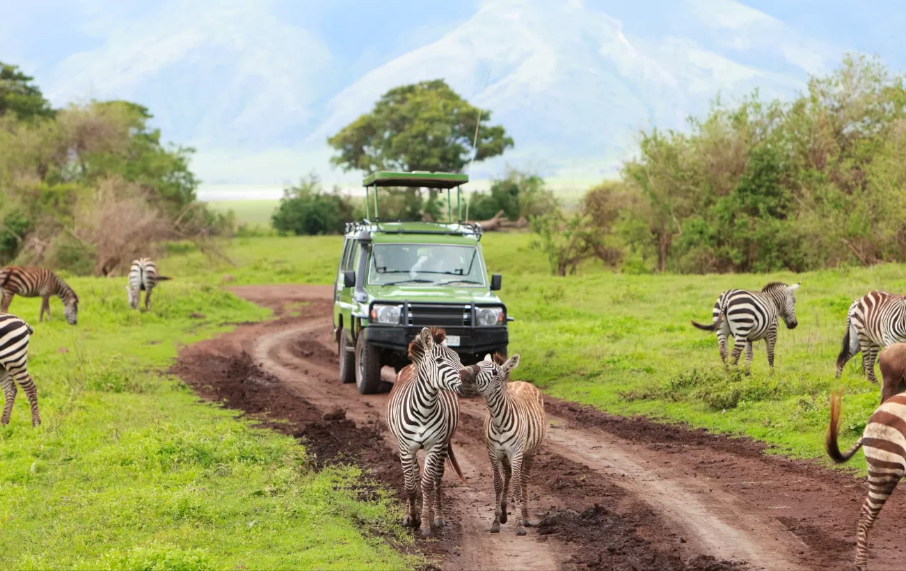 Safari Adventure