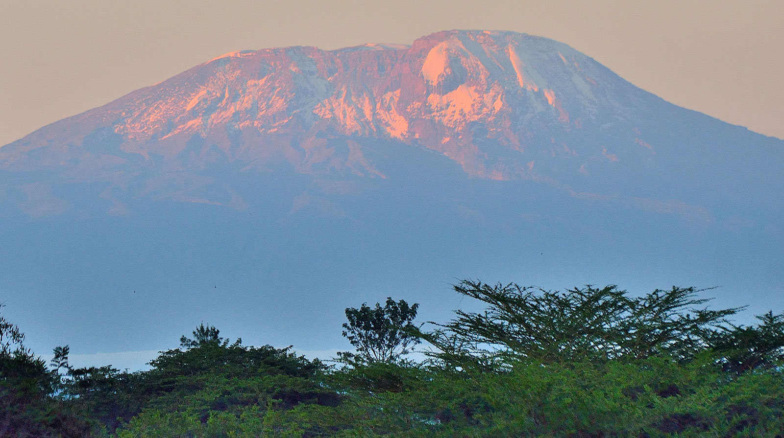 Arusha 3