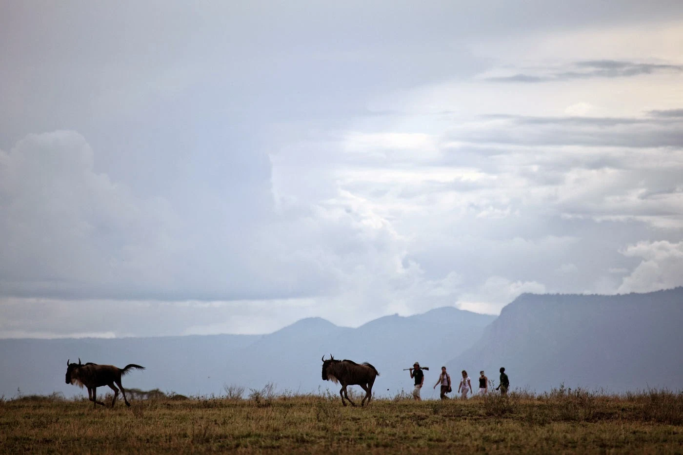 Lake Manyara National Park 2