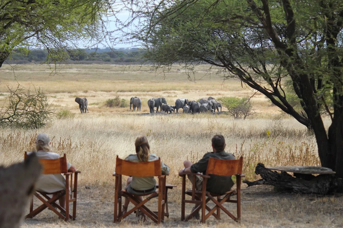Lake Manyara National Park 3