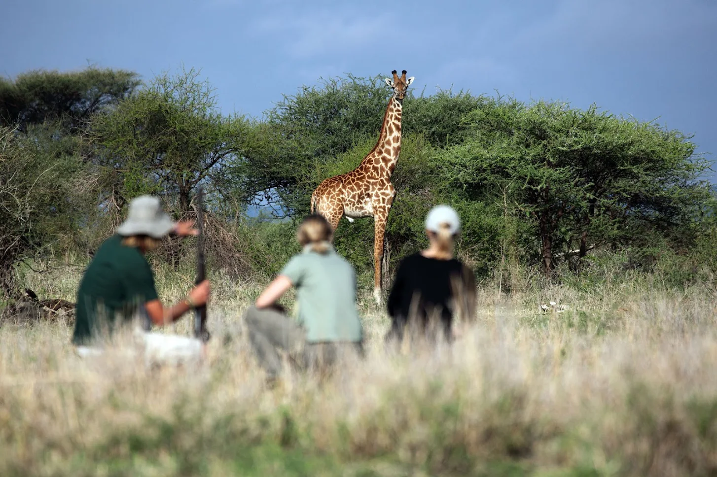 Lake Manyara National Park 4