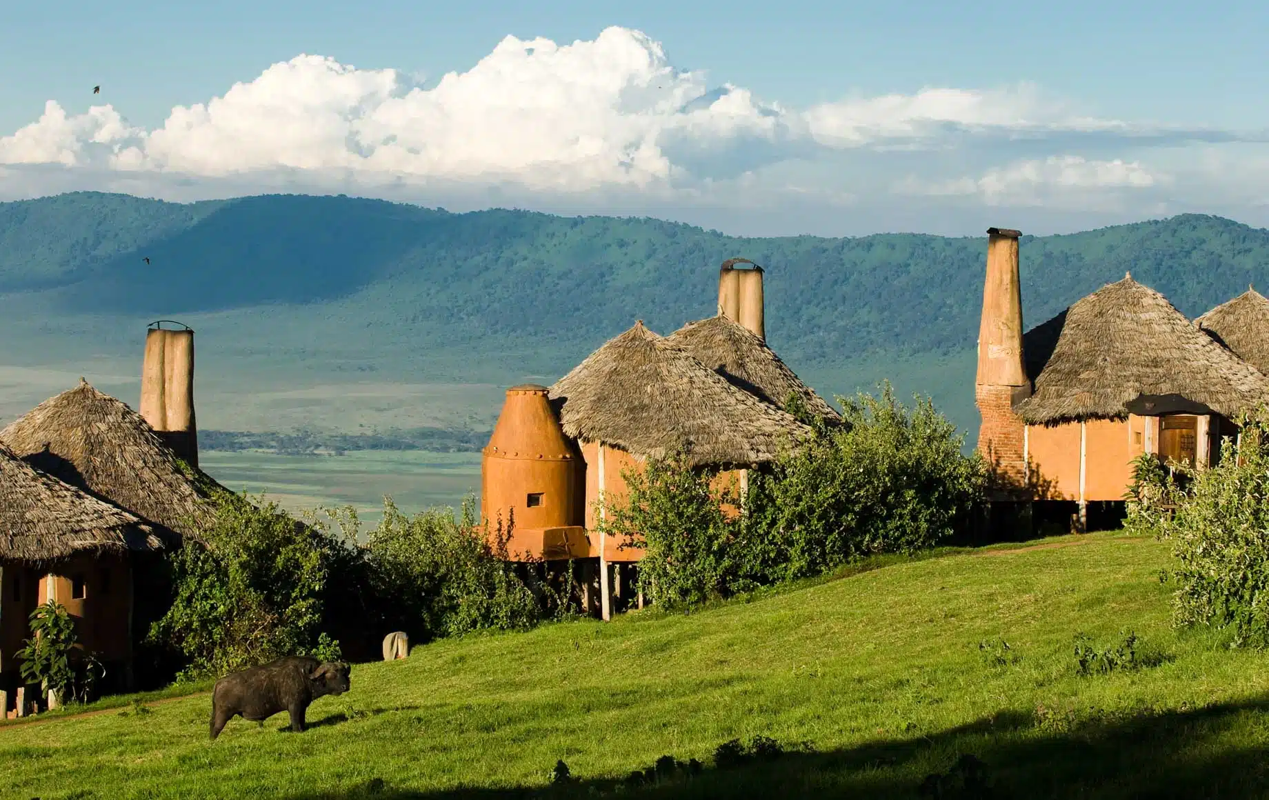 Ngorongoro Conservation Area 1