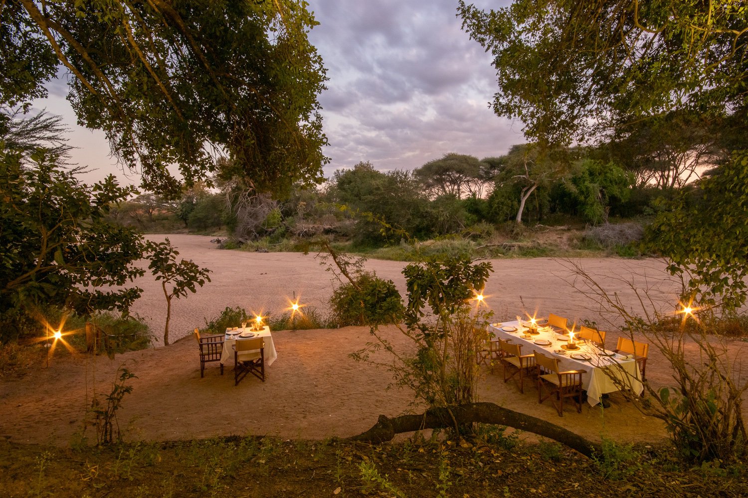 Nyerere National Park 1