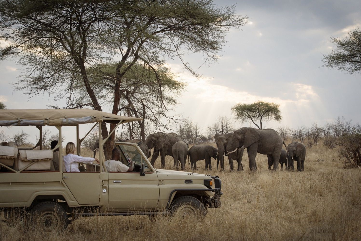 Kigelia Ruaha