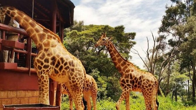 Nairobi Exploration