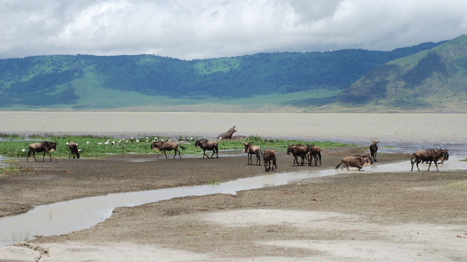 Ngorongoro Crater