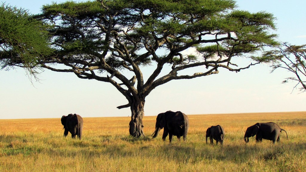 Serengeti National Park