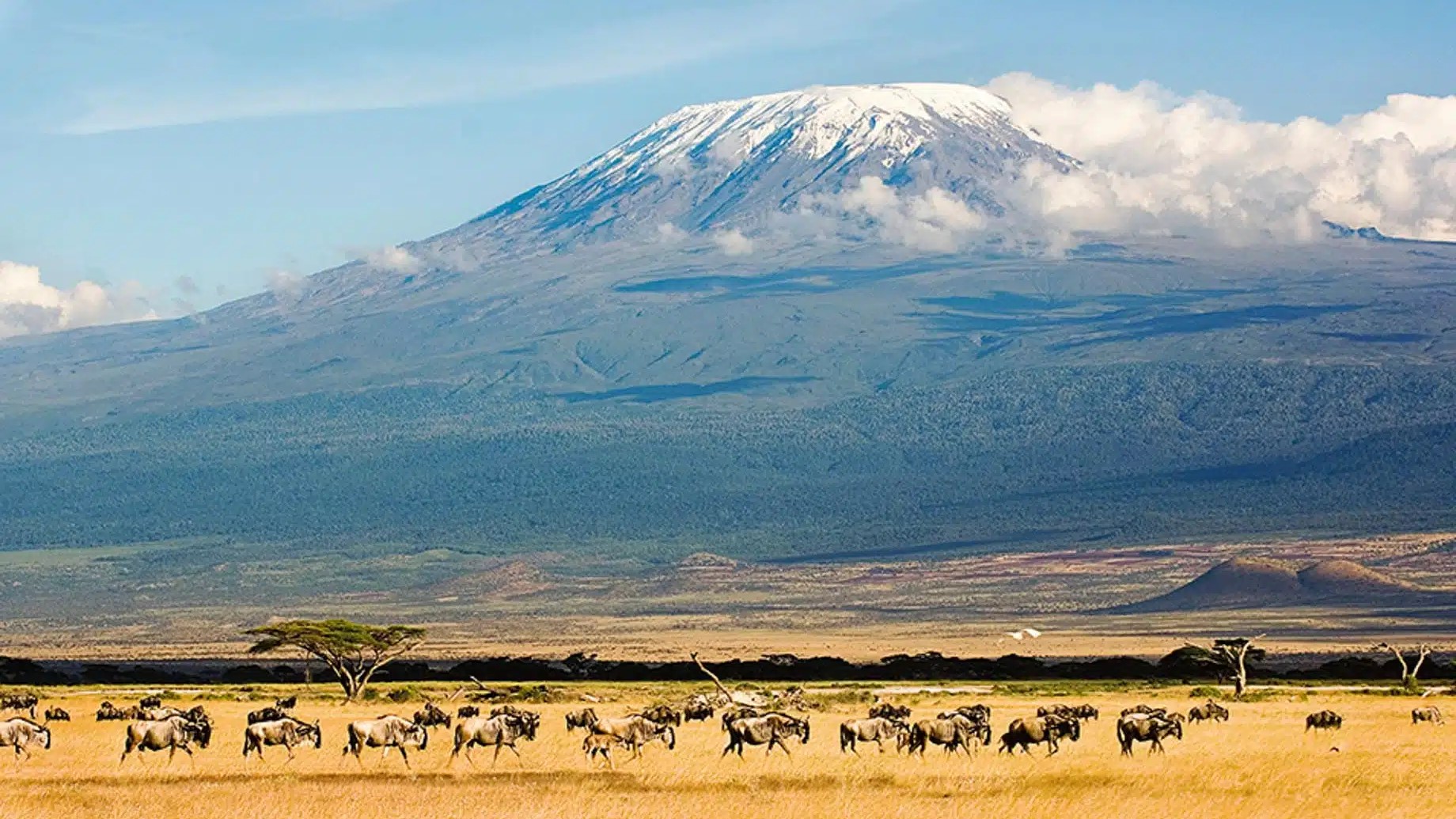 Mount Kilimanjaro