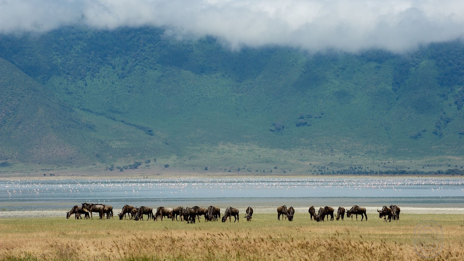 Ngorongoro Conservation Area