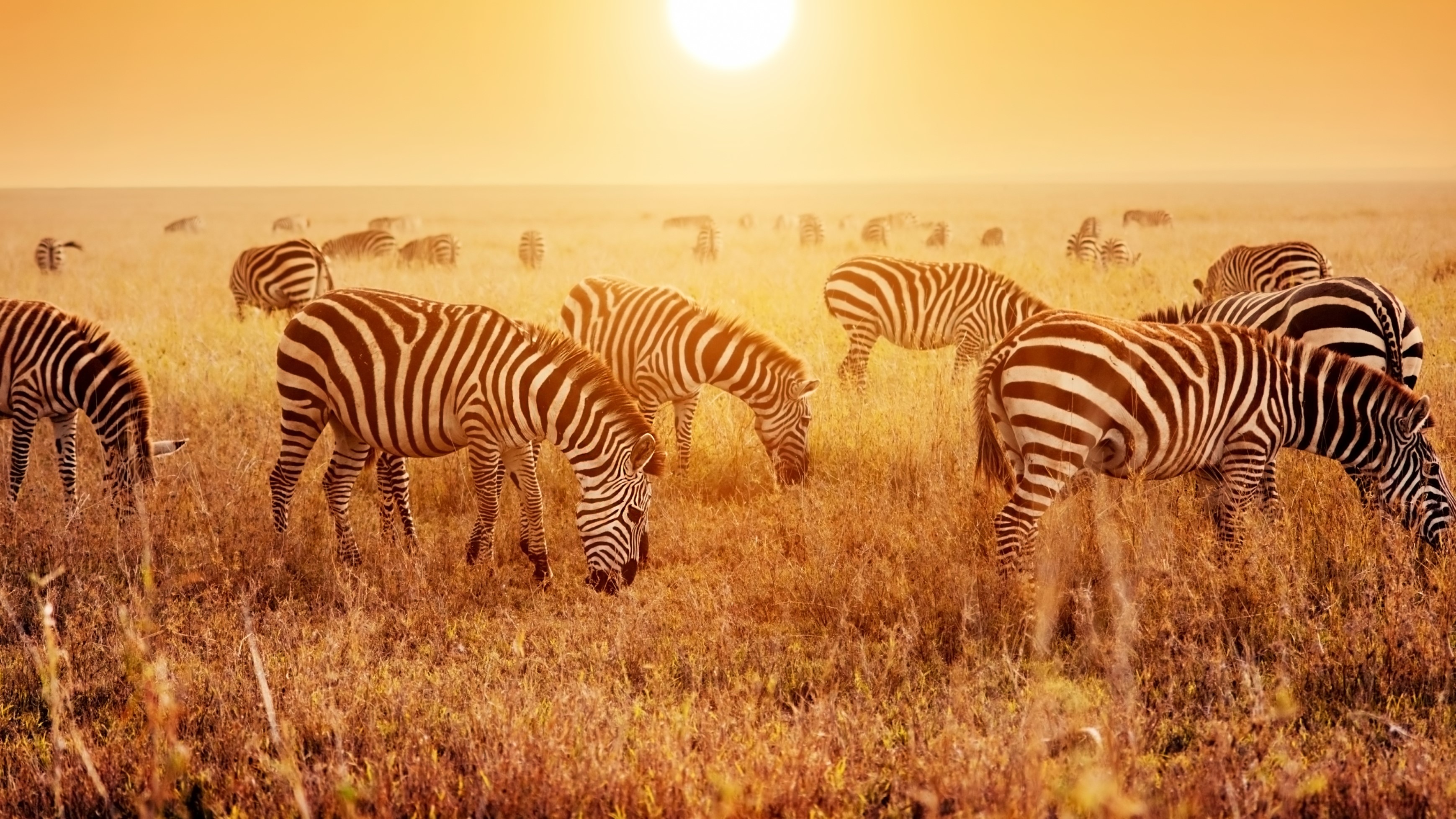Serengeti National Park