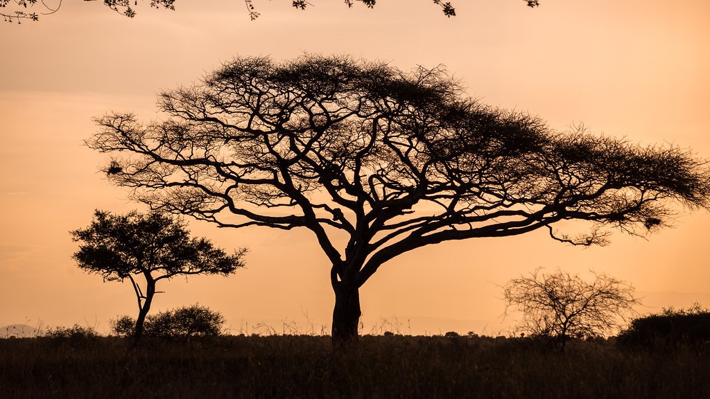 Tarangire National Park