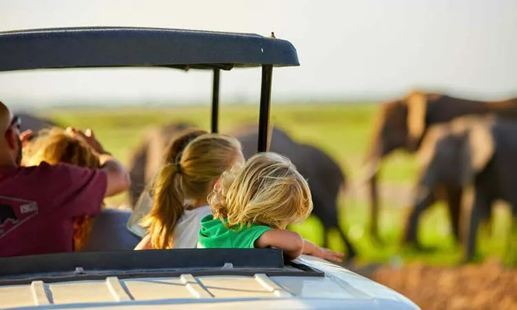 Uganda Family Safari