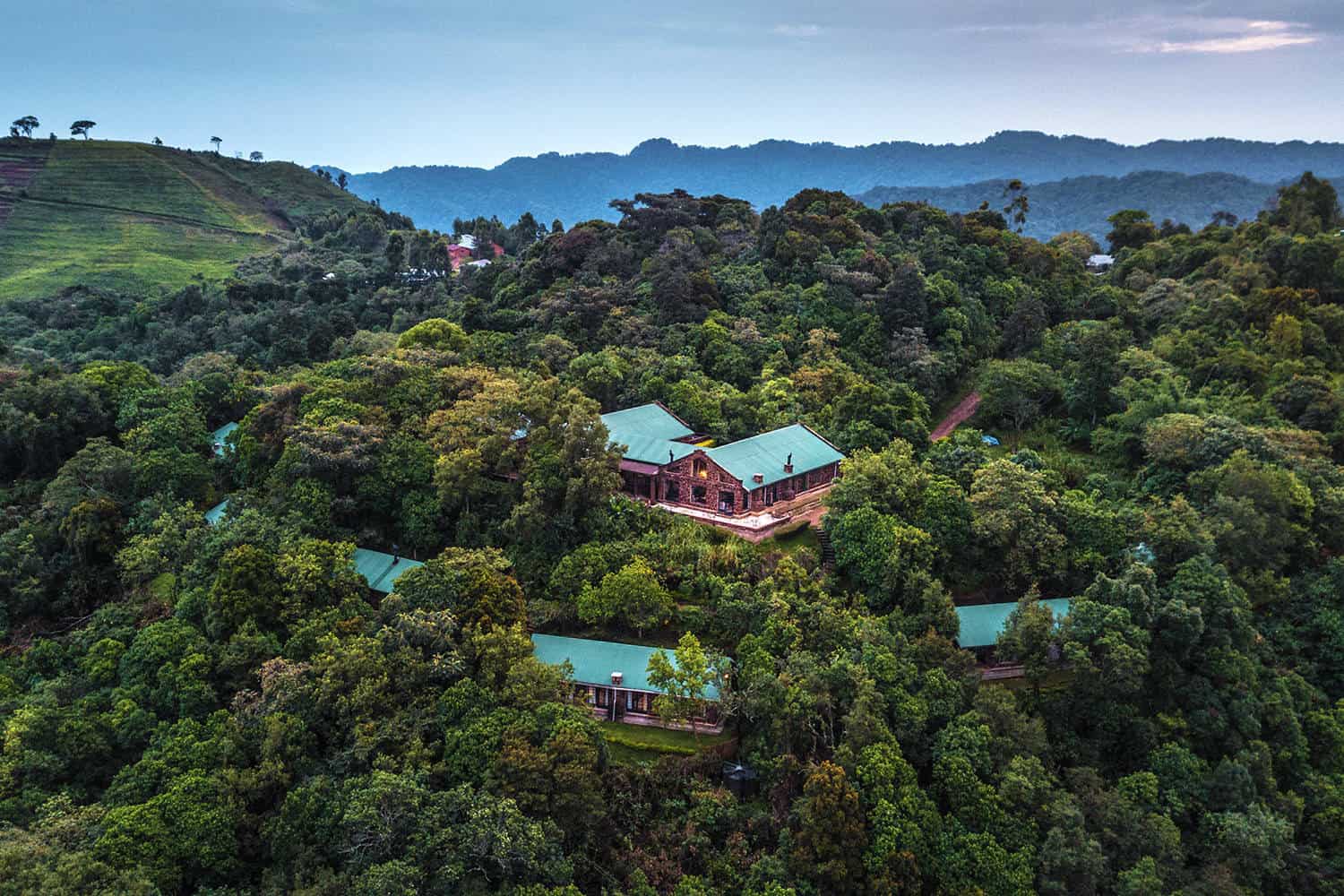 Bwindi Impenetrable Forest 1