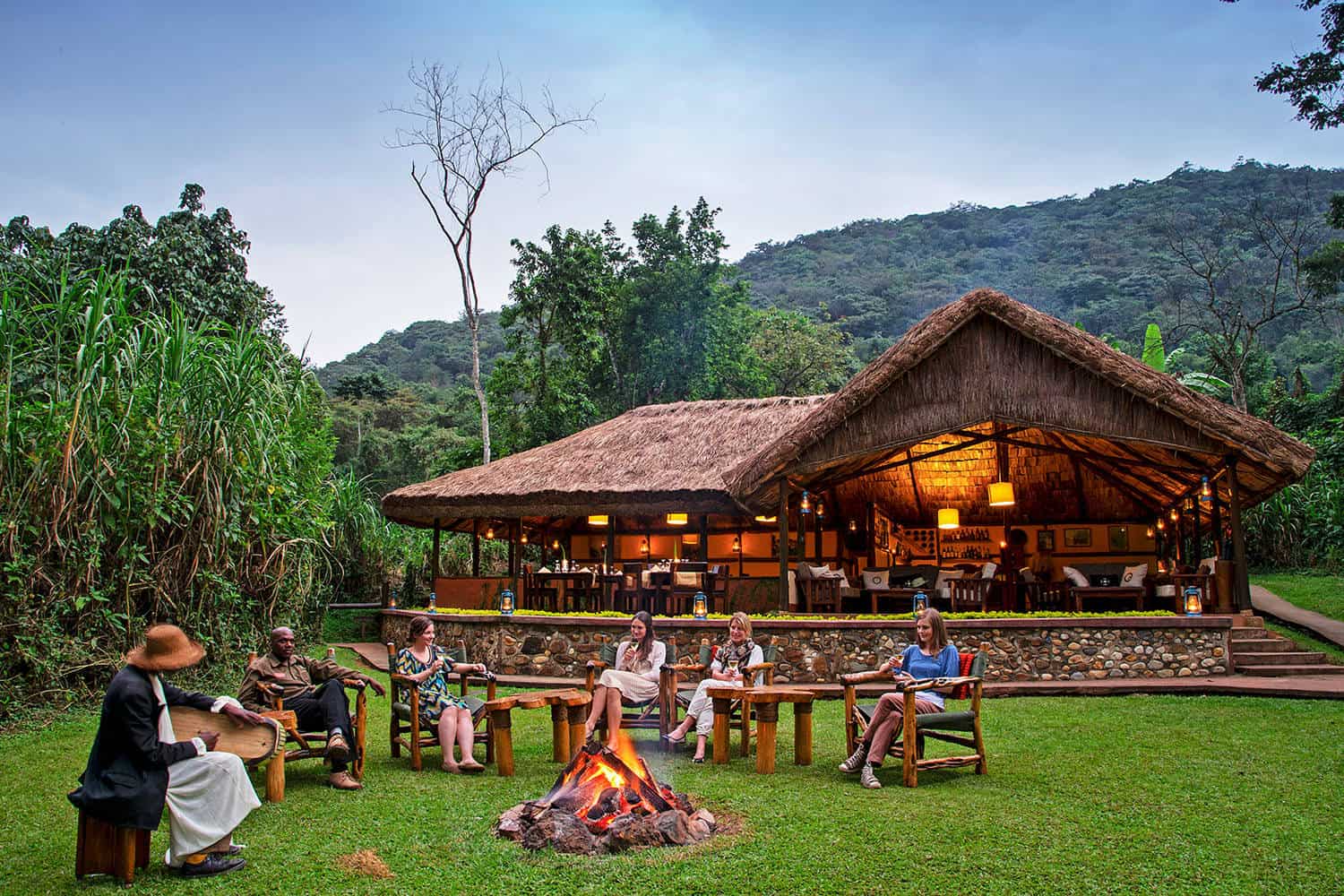 Bwindi Impenetrable Forest 2